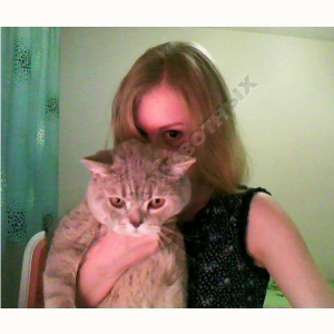 Потерялся Кот (Скоттиш-страйт (шотландская короткошерстная))